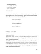 Įmonės UAB “Didbatukas” verslo planas 14 puslapis