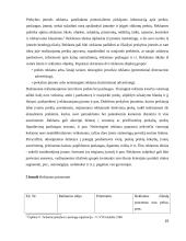 Įmonės UAB “Didbatukas” verslo planas 15 puslapis