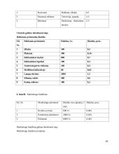 Įmonės UAB “Didbatukas” verslo planas 16 puslapis