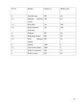 Įmonės UAB “Didbatukas” verslo planas 17 puslapis