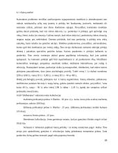 Įmonės UAB “Didbatukas” verslo planas 18 puslapis