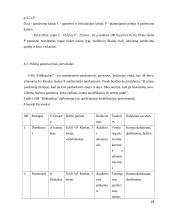 Įmonės UAB “Didbatukas” verslo planas 19 puslapis