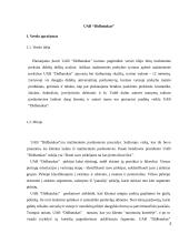 Įmonės UAB “Didbatukas” verslo planas 3 puslapis