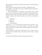 Įmonės UAB “Didbatukas” verslo planas 6 puslapis