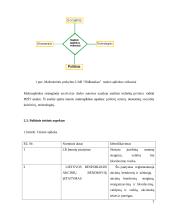 Įmonės UAB “Didbatukas” verslo planas 7 puslapis
