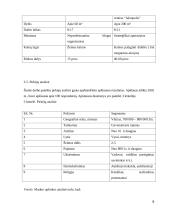 Įmonės UAB “Didbatukas” verslo planas 9 puslapis