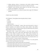 Įmonės UAB “Didbatukas” verslo planas 10 puslapis