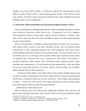 Įmonės X komercinės veiklos analizė   16 puslapis