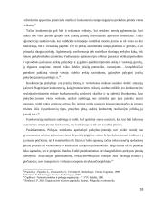 Įmonės X komercinės veiklos analizė   18 puslapis