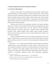 Įmonės X komercinės veiklos analizė   4 puslapis