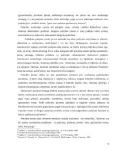 Įmonės X komercinės veiklos analizė   5 puslapis