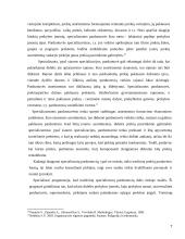 Įmonės X komercinės veiklos analizė   7 puslapis