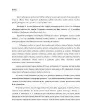 Įmonės pelningumo vertinimas 2 puslapis