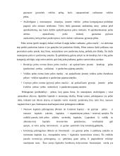 Įmonės pelningumo vertinimas 12 puslapis