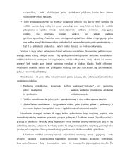 Įmonės pelningumo vertinimas 13 puslapis