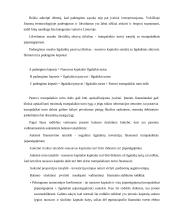 Įmonės pelningumo vertinimas 15 puslapis