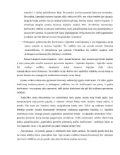 Įmonės pelningumo vertinimas 16 puslapis