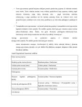 Įmonės pelningumo vertinimas 17 puslapis