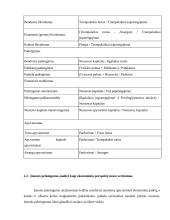 Įmonės pelningumo vertinimas 18 puslapis