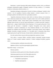 Įmonės pelningumo vertinimas 19 puslapis