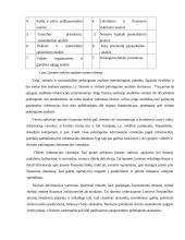 Įmonės pelningumo vertinimas 6 puslapis