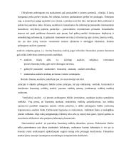 Įmonės pelningumo vertinimas 7 puslapis