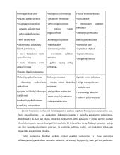 Įmonės pelningumo vertinimas 9 puslapis