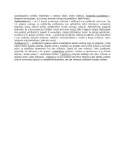 Sintaksė ir sakinio sandara 16 puslapis