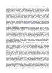 Sintaksė ir sakinio sandara 10 puslapis