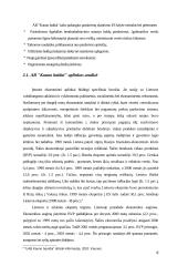 Įmonės veiklos apibūdinimas AB "Kauno baldai" 8 puslapis