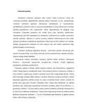 Finansinių ir valdymo apskaitos sistemų analizė 2 puslapis