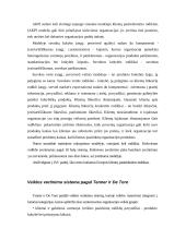 Finansinių ir valdymo apskaitos sistemų analizė 13 puslapis