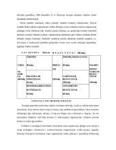 Finansinių ir valdymo apskaitos sistemų analizė 16 puslapis