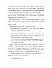 Finansinių ir valdymo apskaitos sistemų analizė 17 puslapis