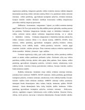 Finansinių ir valdymo apskaitos sistemų analizė 19 puslapis