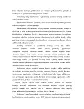 Finansinių ir valdymo apskaitos sistemų analizė 20 puslapis