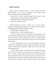 Finansinių ir valdymo apskaitos sistemų analizė 3 puslapis