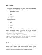 Finansinių ir valdymo apskaitos sistemų analizė 6 puslapis