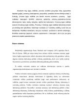 Finansinių ir valdymo apskaitos sistemų analizė 7 puslapis