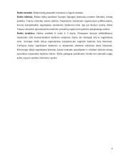 Įmonių bankroto tarptautiniai aspektai 4 puslapis