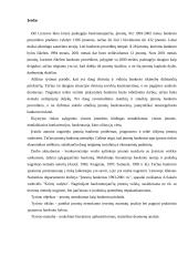 Įmonių nemokumo vertinimo tyrimas 2 puslapis