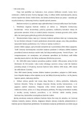 Įmonių nemokumo vertinimo tyrimas 13 puslapis