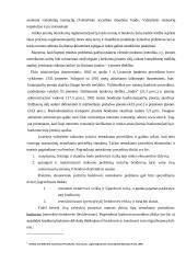 Įmonių nemokumo vertinimo tyrimas 14 puslapis