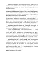 Įmonių nemokumo vertinimo tyrimas 17 puslapis