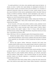 Įmonių nemokumo vertinimo tyrimas 20 puslapis