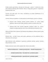 Inžinerinių projektų ekonominis vertinimas 11 puslapis