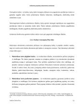 Inžinerinių projektų ekonominis vertinimas 12 puslapis