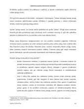 Inžinerinių projektų ekonominis vertinimas 16 puslapis