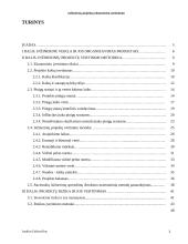 Inžinerinių projektų ekonominis vertinimas 3 puslapis