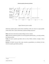 Inžinerinių projektų ekonominis vertinimas 8 puslapis